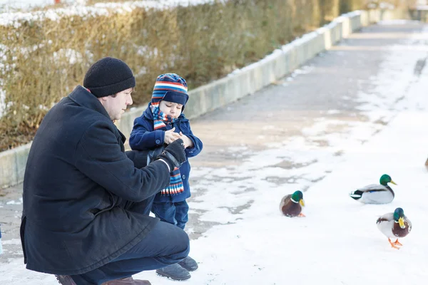 Vater und kleiner Sohn füttern Enten im Winter. — Stockfoto