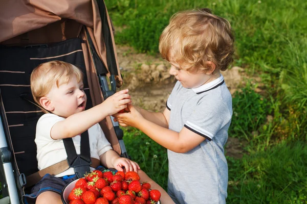 Dva malí kluci sourozence na vybrat berry organické jahodová farma. — Stock fotografie