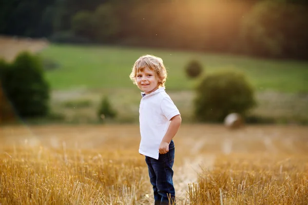 Menino de três anos se divertindo no campo de feno amarelo — Fotografia de Stock