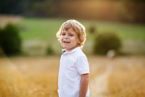 Liten pojke på tre år ha kul på gula hö fält — Stockfoto