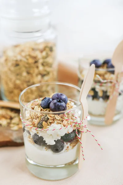 Sağlıklı gıda: yaban mersini ve müsli ile ev yapımı taze yoğurt — Stok fotoğraf