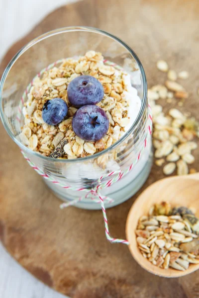 Sağlıklı gıda: yaban mersini ve müsli ile ev yapımı taze yoğurt — Stok fotoğraf
