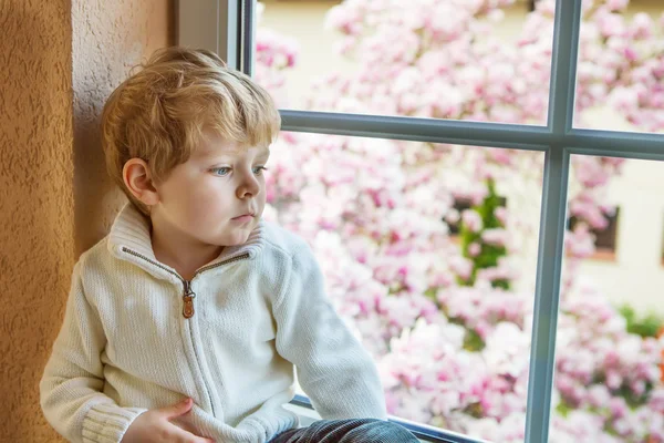 Toddler biały chłopiec patrząc przez okno — Zdjęcie stockowe