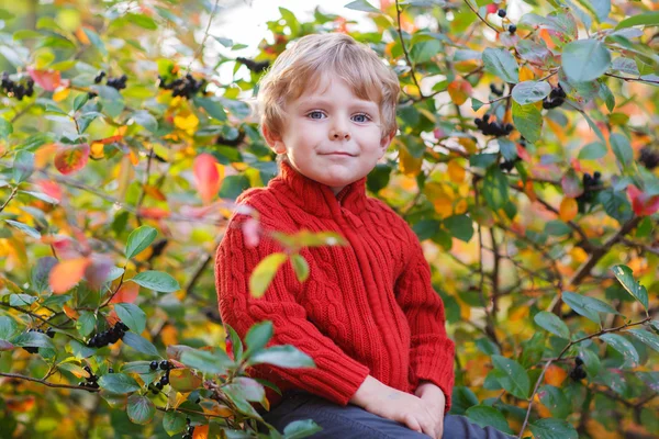 Lustige kleine Vorschulkind sitzt im Spätsommer auf einer Wand sogar — Stockfoto