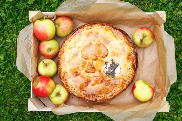 Torta de maçã fresca assada e maçãs . — Fotografia de Stock