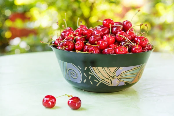 Cerises rouges biologiques mûres fraîches dans le jardin d'été — Photo