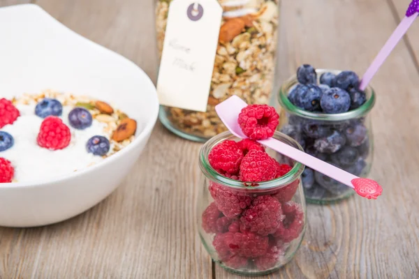用自制的谷物和牛奶什锦早餐、 新鲜树莓的新鲜酸奶 — 图库照片