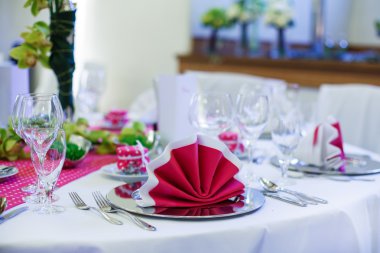 zarif masa düğün veya olay parti pembe noktalı için ayarla.