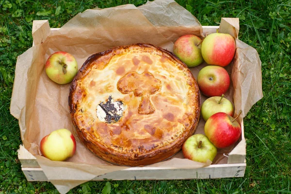 Torta de maçã fresca assada e maçãs . — Fotografia de Stock