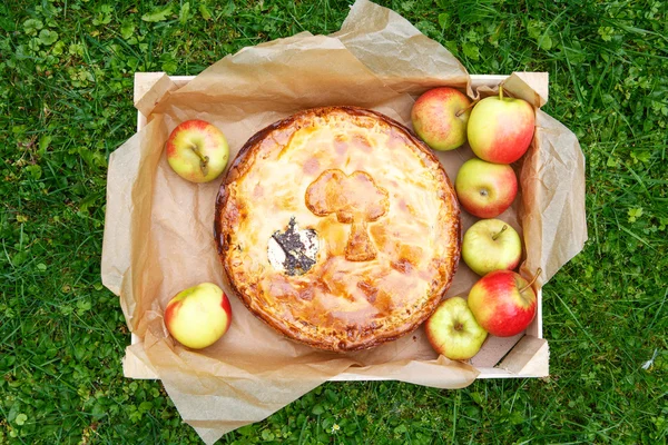 Fresh baked apple pie and apples. — Stock Photo, Image