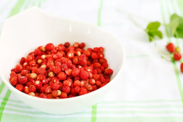 Fresh ripe wild strawberries in white bowl as healthy food — Stock Photo, Image