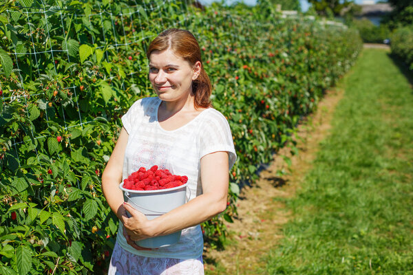 Young woman picking raspberries on pick a berry farm in Germany