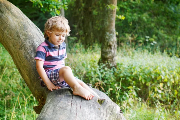 Little cute toddler boy having fun on tree in  forest — Stock Photo, Image