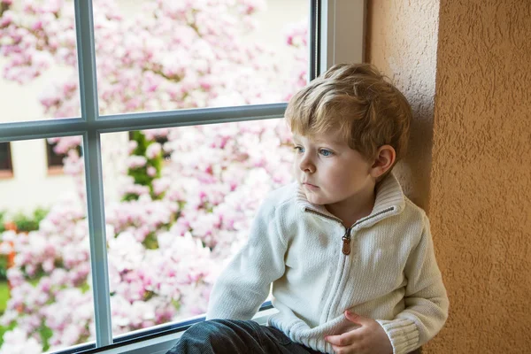 Entzückender Kleinkind Junge, der aus dem Fenster schaut — Stockfoto