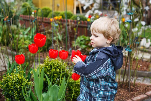 çok güzel yürümeye başlayan çocuk pencereden dışarı bakıyor