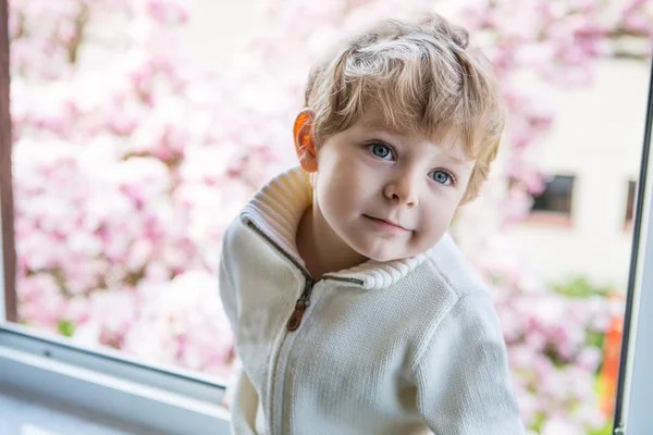 Toddler biały chłopiec patrząc przez okno — Zdjęcie stockowe