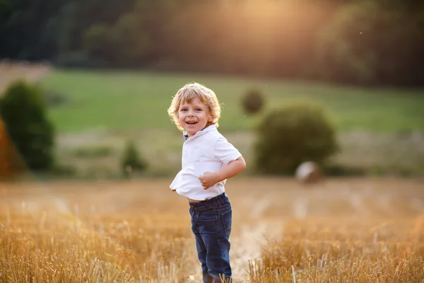 Menino de três anos se divertindo no campo de feno amarelo — Fotografia de Stock