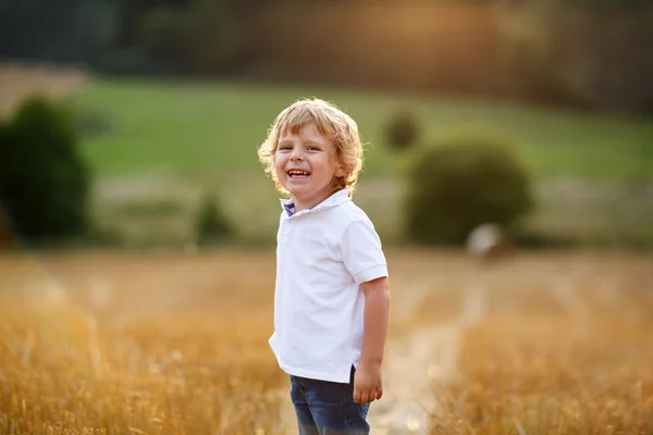 Little boy of three years having fun on yellow hay field — Stock Photo, Image