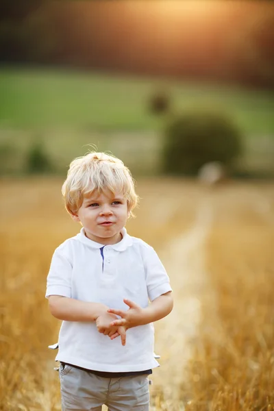 Little boy of three years having fun on yellow hay field — Stock Photo, Image