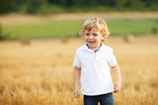 Liten pojke på tre år ha kul på gula hö fält — Stockfoto