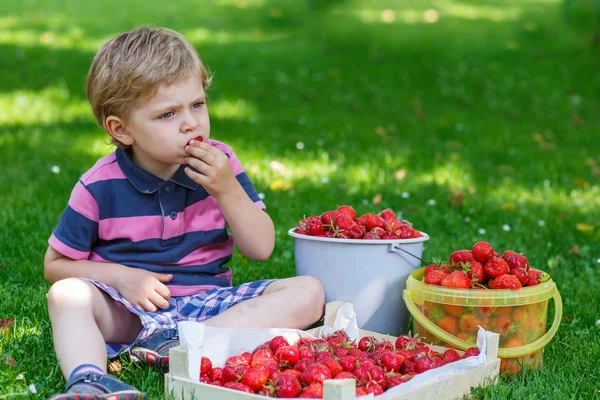 Happy little toddler boy in summer garden with buckets of ripe s — Stock Photo, Image