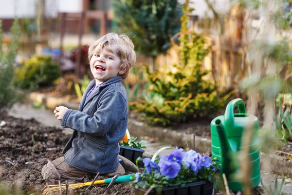 Bahçe ve çiçek dikimi küçük çocuk — Stok fotoğraf