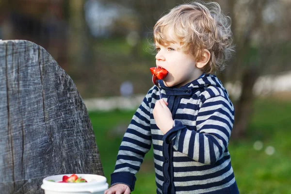 Bel ragazzo biondo di due anni che mangia fragole all'aperto — Foto Stock