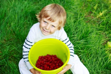 mutlu küçük yürümeye başlayan çocuk üzerinde almak strawberri toplama berry farm