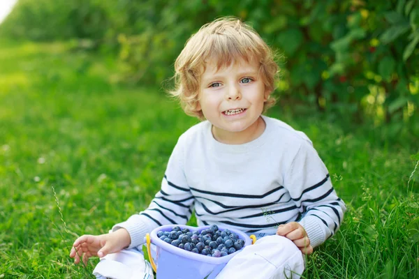 Happy little toddler boy on pick a berry farm picking strawberri — Stock Photo, Image