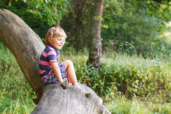 Pequeño niño lindo divirtiéndose en el árbol en el bosque — Foto de Stock