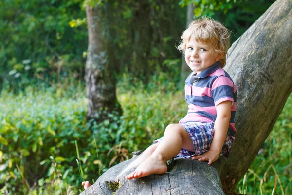 Lilla söta barn pojke att ha kul på träd i skogen — Stockfoto