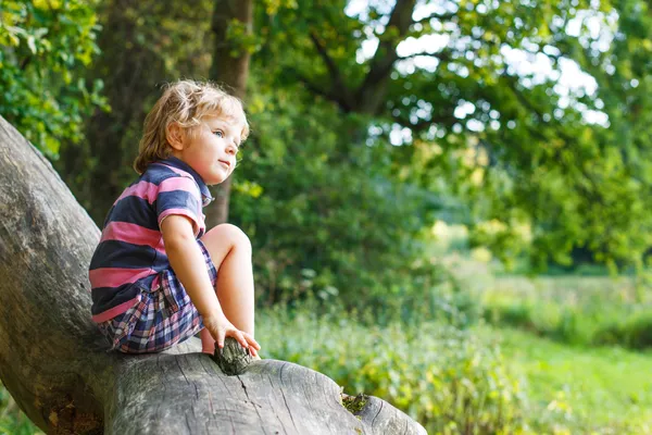 Little cute toddler boy having fun on tree in  forest — Stock Photo, Image