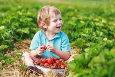 mutlu küçük yürümeye başlayan çocuk üzerinde almak strawberri toplama berry farm