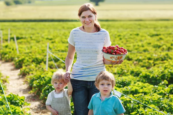 Mãe e dois meninos irmãos na fazenda de morango orgânico — Fotografia de Stock