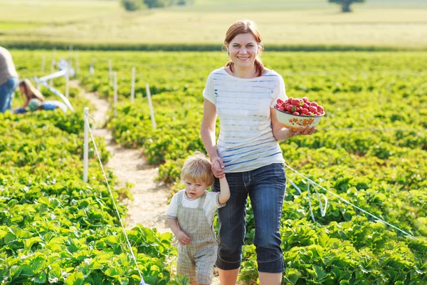 Mãe e menino de 2 anos na fazenda de morango orgânico em s — Fotografia de Stock