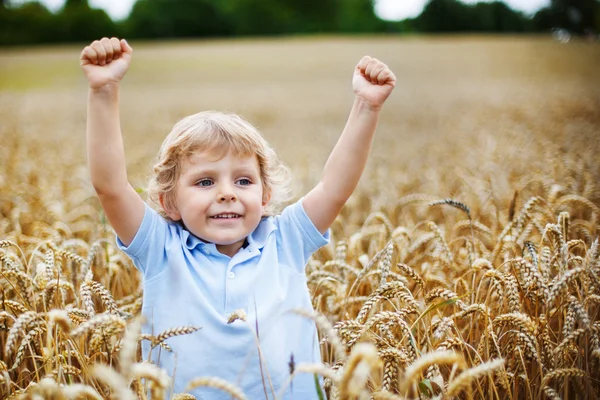 Szczęśliwy chłopiec zabawy w polu pszenicy w okresie letnim — Zdjęcie stockowe
