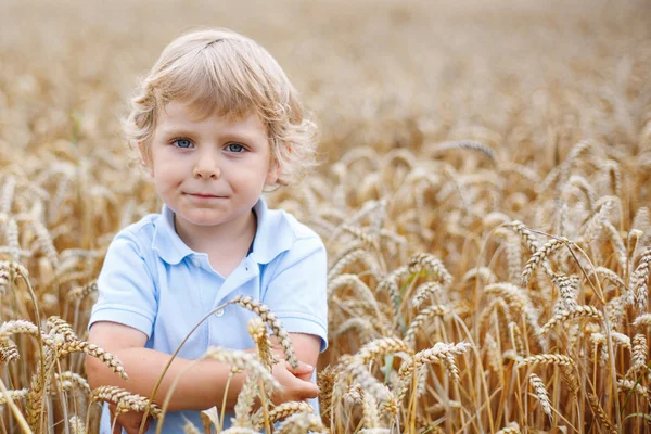 Szczęśliwy chłopiec zabawy w polu pszenicy w okresie letnim — Zdjęcie stockowe
