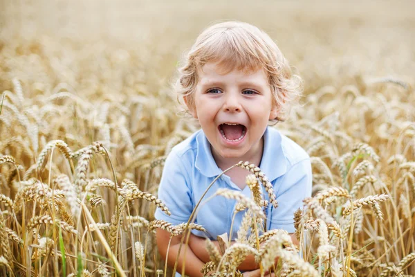 Preschool boy of 3 having fun in wheat field in summer — Stock Photo, Image