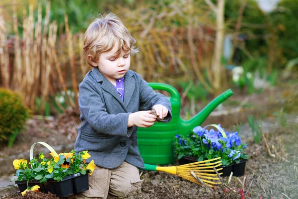 Liten pojke trädgårdsskötsel och plantera blommor i trädgården — Stockfoto