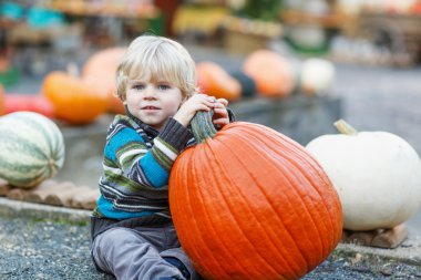 kabak yama üzerinde oturan küçük çocuk