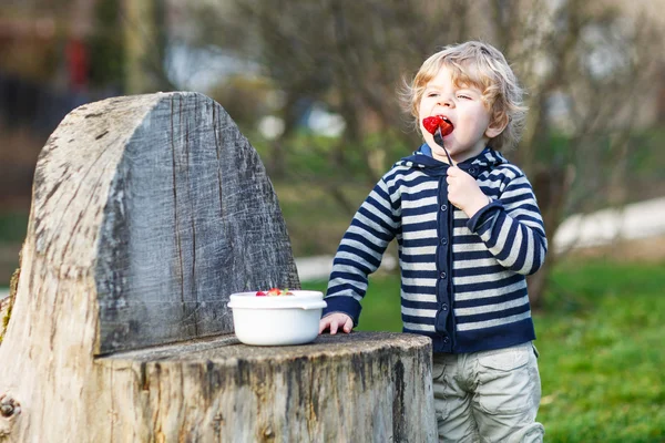 Lovely blond boy of two years eating strawberries outdoors — Stock Photo, Image