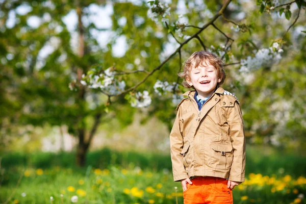 Menino loiro pequeno feliz da criança no jardim da mola com ap florescendo — Fotografia de Stock