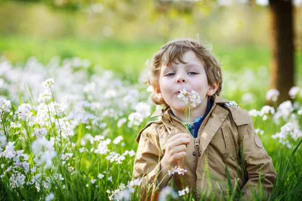 Menino feliz no jardim da mola com flores brancas florescendo — Fotografia de Stock