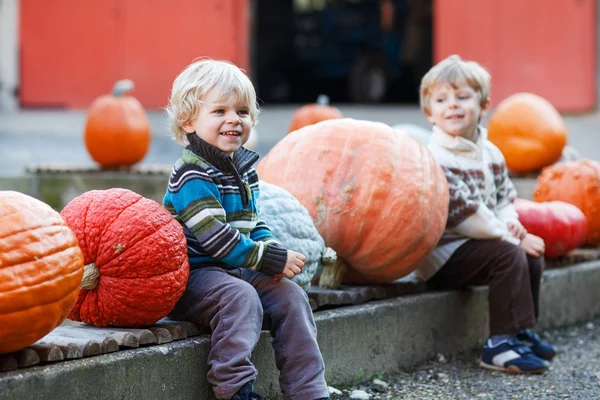 Kisfiú ül pumpkin patch — Stock Fotó