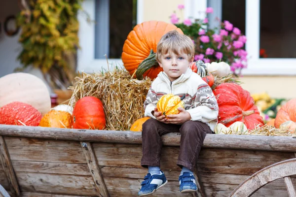 Mały chłopiec siedzi na patcha dyni — Zdjęcie stockowe