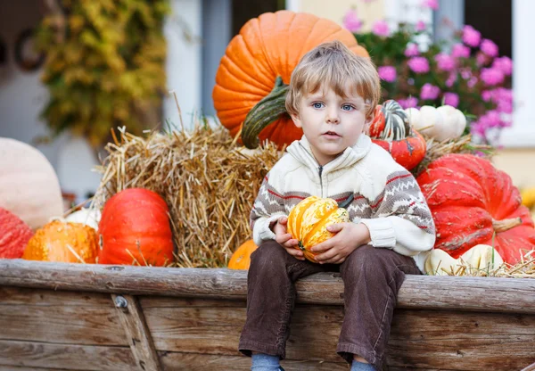 Anak kecil yang duduk di pumpkin patch — Stok Foto