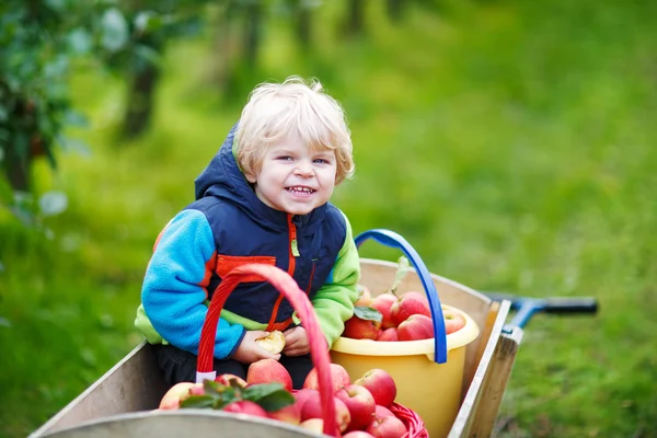 Criança loira feliz com carrinho de madeira cheio de appl vermelho orgânico — Fotografia de Stock