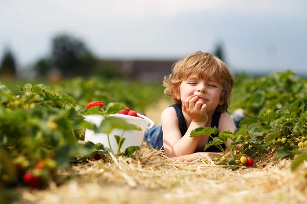 Kleine jongen plukken en eten aardbeien op berry farm — Stockfoto