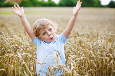 okul öncesi çocuk eğleniyor buğday alanında yaz aylarında 3