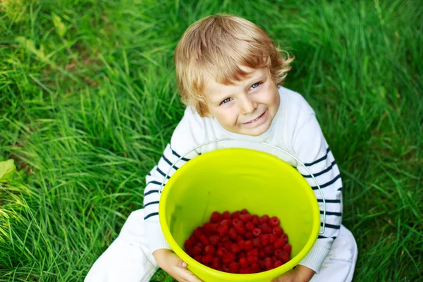 Happy little toddler boy on pick a berry farm picking strawberri — Stock Photo, Image